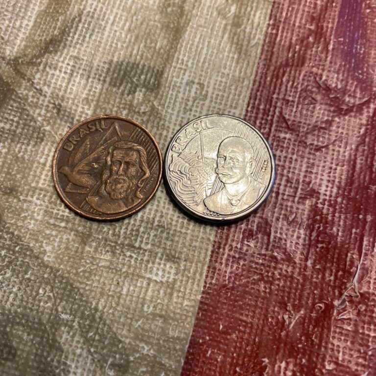 Read more about the article 2008 Brazil 50 Cent  1998 5 Centavos- 2 Coins