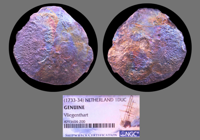 Read more about the article 1733-34 Netherland 1 Ducaton Silver Rider Vliegenthart Shipwreck NGC Graded #200