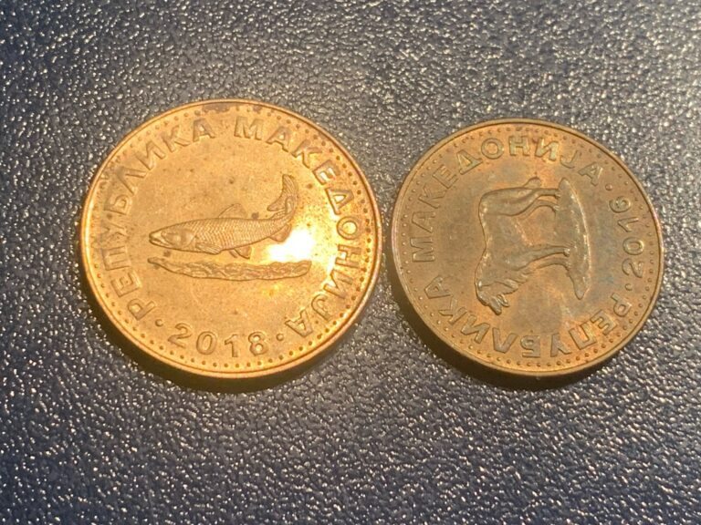 Read more about the article 2 coins Macedonia / Macedonia coins from circulation 2.1  denarius