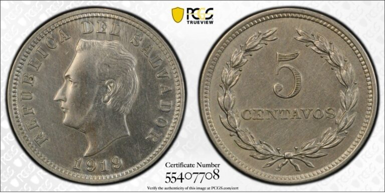 Read more about the article El Salvador 5 Centavos 1919 Scare AU