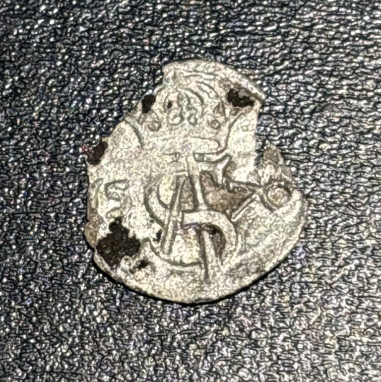 Read more about the article 1560-1569 Lithuania King Sigismund II Augusts AR 2 Deniers Coin