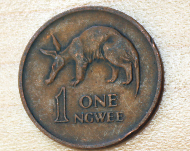 Read more about the article 1972 Zambia 1 Ngwee Aardvark