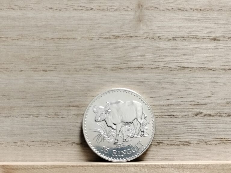 Read more about the article 1976 15 Ringgit Malaysia Silver Coin (Agong VI Conservation)