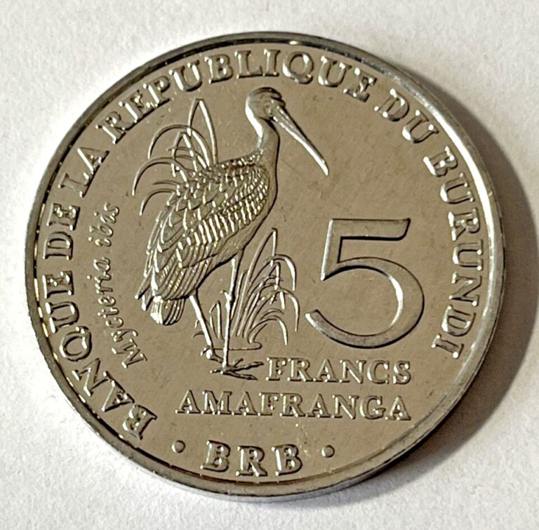 Read more about the article 2014 Burundi 5 Francs Coin Yellow-Billed Stork Bird Animal Wildlife