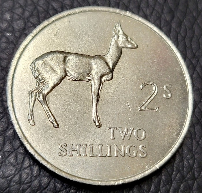 Read more about the article 1964 Zambia 2 Shillings Coin