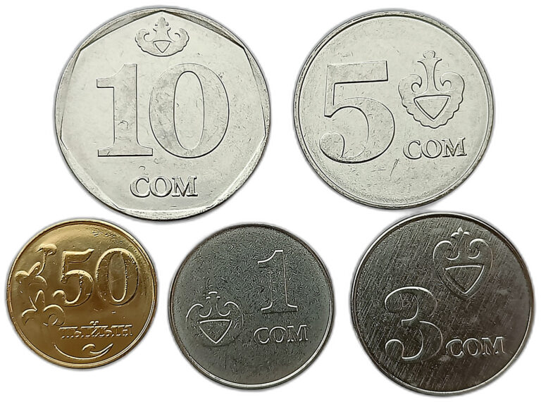 Read more about the article KYRGYZSTAN SET OF 5 COINS 50 TYIN – 10 SOM 2008 – 2009 UNC