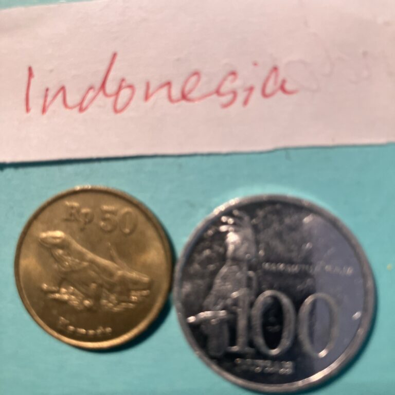 Read more about the article Indonesia coins.