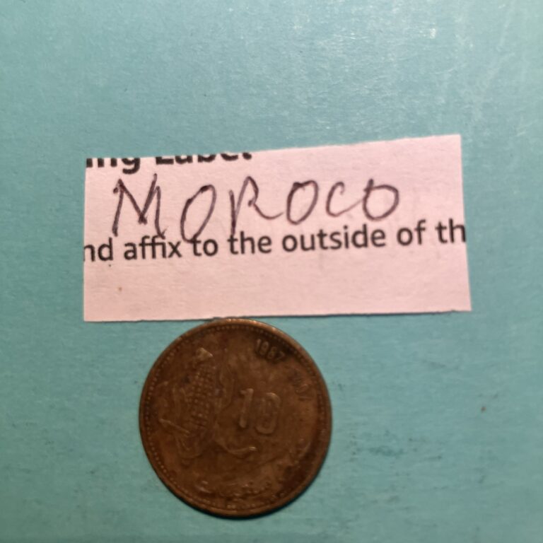 Read more about the article Morocco Coin