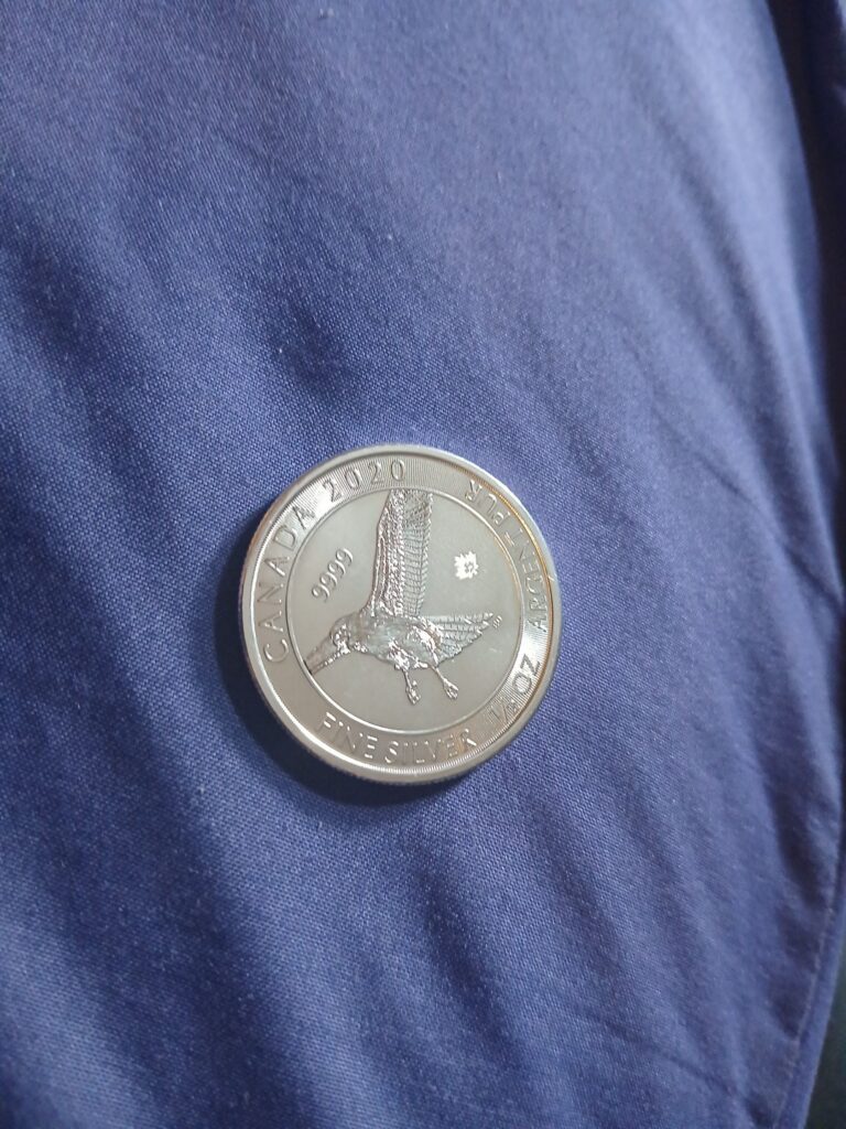 Read more about the article 2020 Canada Red Tailed Hawk 1/2 oz .9999 Silver $2 Coin  BU