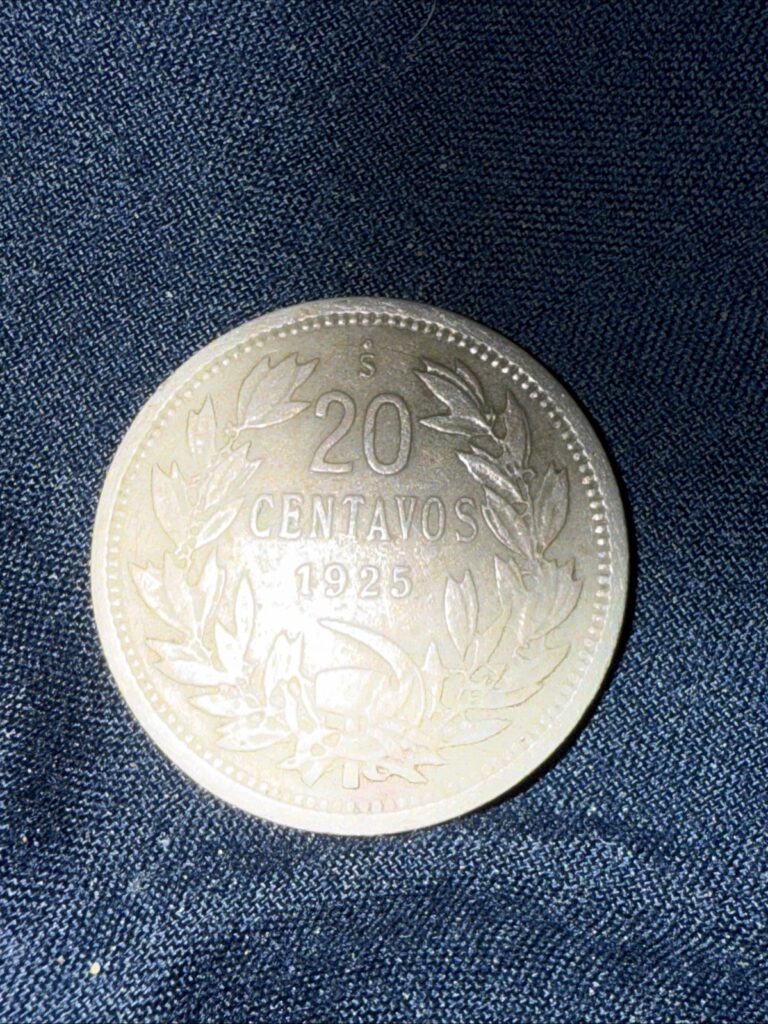 Read more about the article 1925 Chile 20 Centavos Coin VF Condition Silver
