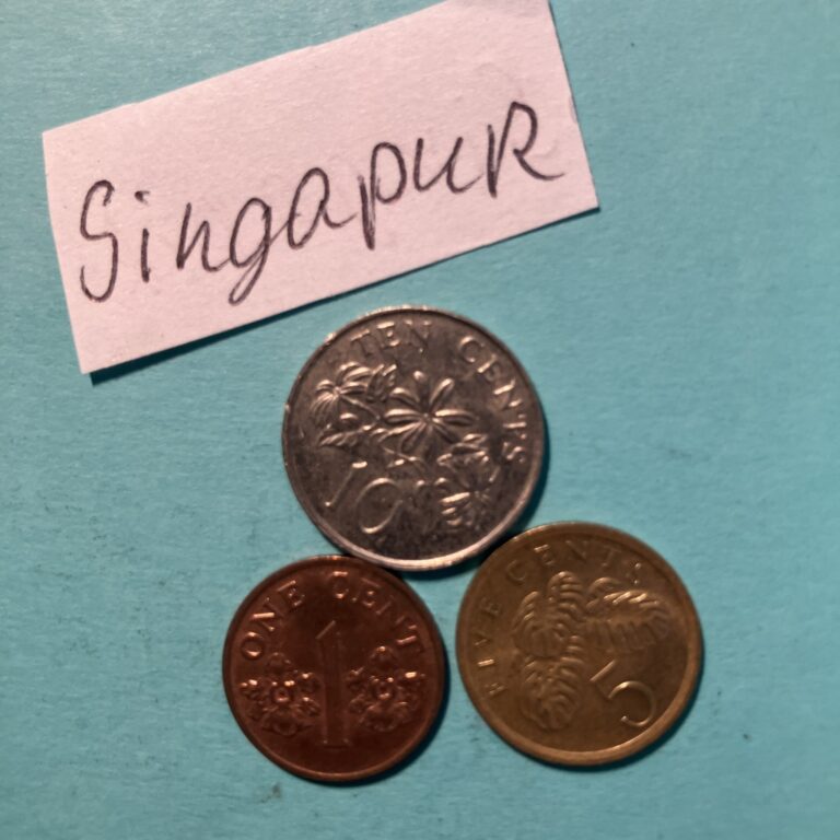 Read more about the article Singapore Coin
