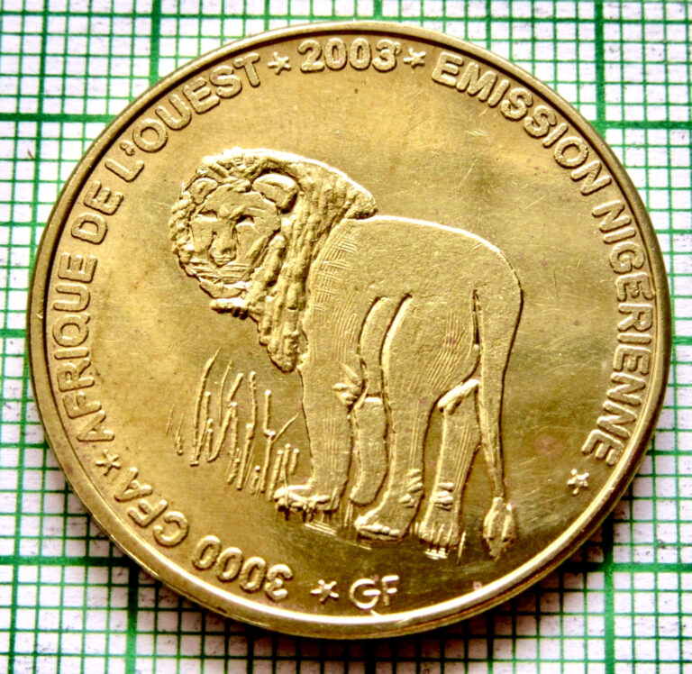 Read more about the article NIGER 2003 2 AFRICA or 3000 CFA COIN  LION  IDAO COINAGE Brass Unusual