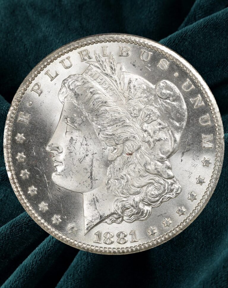 Read more about the article 1881-CC Morgan Dolar silver Uncirculated Coin✈️US