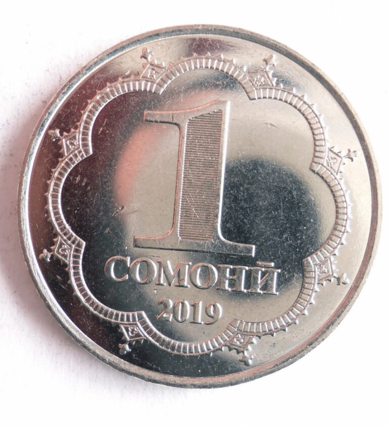 Read more about the article 2019 TAJIKISTAN SOMONI – Hard to Find Coin – FREE SHIP – Bin #732