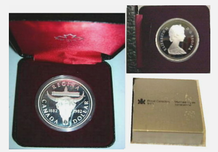 Read more about the article 1882-1982 Canadian Proof 50% Silver Dollar Commemorates Regina (With a Case)