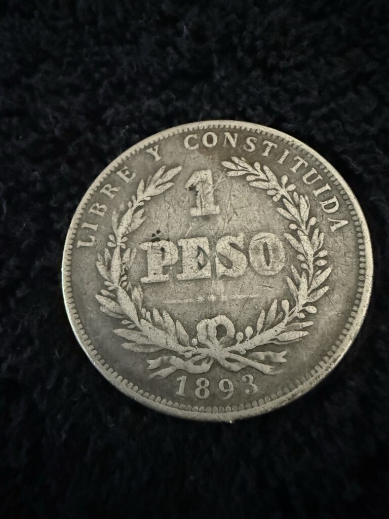 Read more about the article 1893 Uruguay Silver Peso