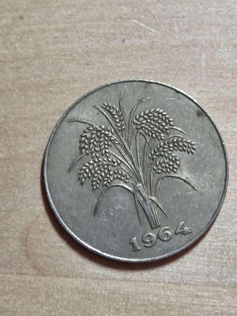Read more about the article South Vietnam 1 Dong coin  1964. KM# 7  copper-nickel. Rice stalks above date.