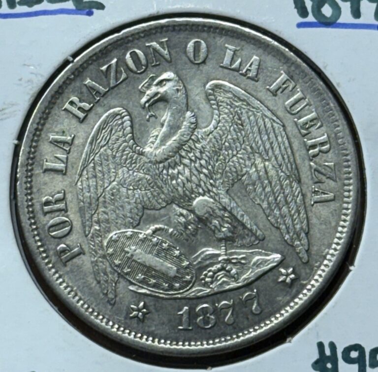 Read more about the article 1877 Chile Silver Peso Un Peso Republic Of Chilean Coin – TCCCX