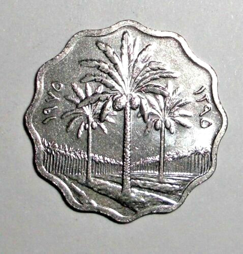 Read more about the article Iraq Scalloped Coin 5 fils Three Palm Trees Middle East