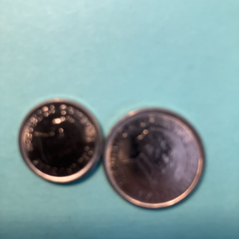 Read more about the article Uruguay Coins