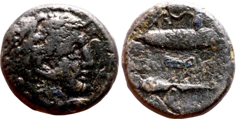 Read more about the article Ancient Greek bronze Coin – Macedonia 336-323 BC – Alexander III ‘the Great’