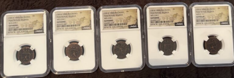 Read more about the article 1814 – 1836 N. E Indies Fractional Striver Willem 1 NGC Genuine. Lot Of 6