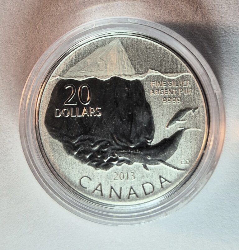 Read more about the article Canada 2013 $20 Iceberg–Pure .9999 Silver Coin