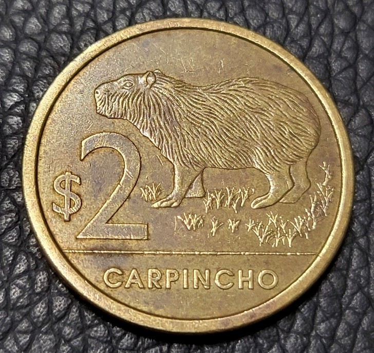 Read more about the article 2011 Uruguay 2 Peso Coin