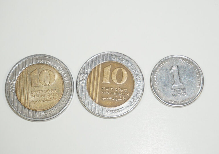Read more about the article Israel Coin Lot 10 New Sheqalim Palm tree (x2) and 1 New Sheqel