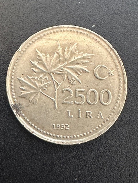 Read more about the article 1992 TURKEY 2500 Lira Coin