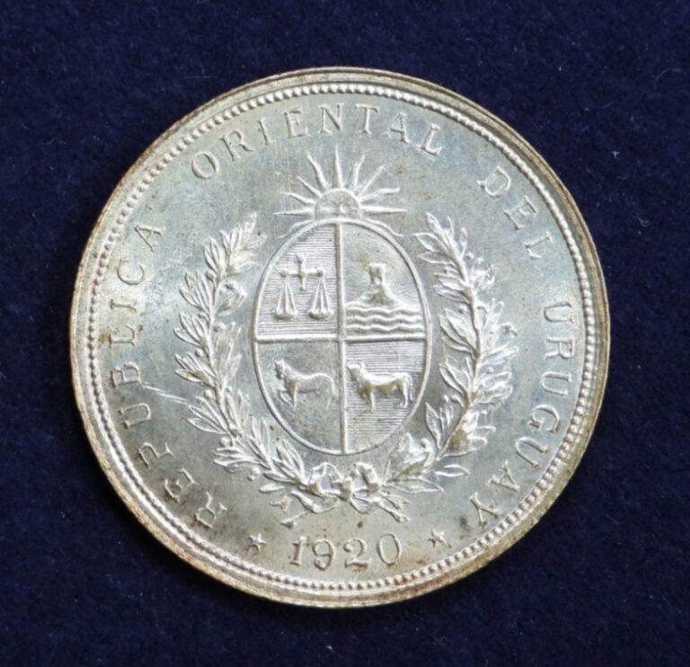 Read more about the article 1920 Uruguay 20 Twenty Centesimos 80% Silver Coin KM 24