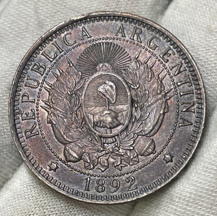 Read more about the article 1892 Argentina 2 Centavos Coin High Grade High Value
