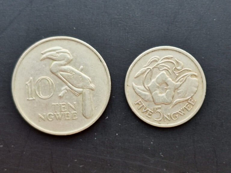 Read more about the article Zambia 10 Ngwee and 5 Ngwee Coins-1968