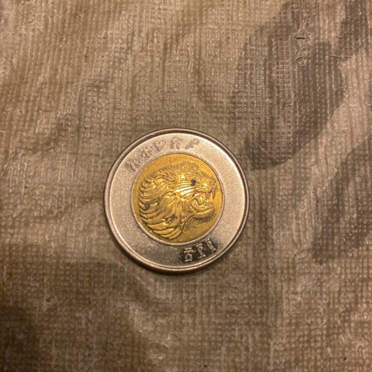 Read more about the article Ethiopia 1 Birr Coin