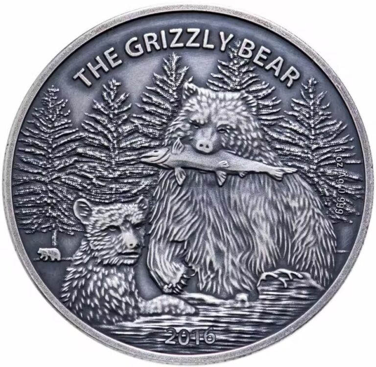 Read more about the article 2016 Burkina Faso Grizzly Bear Silver Coin 1000 Francs WWF Antique Finish RARE