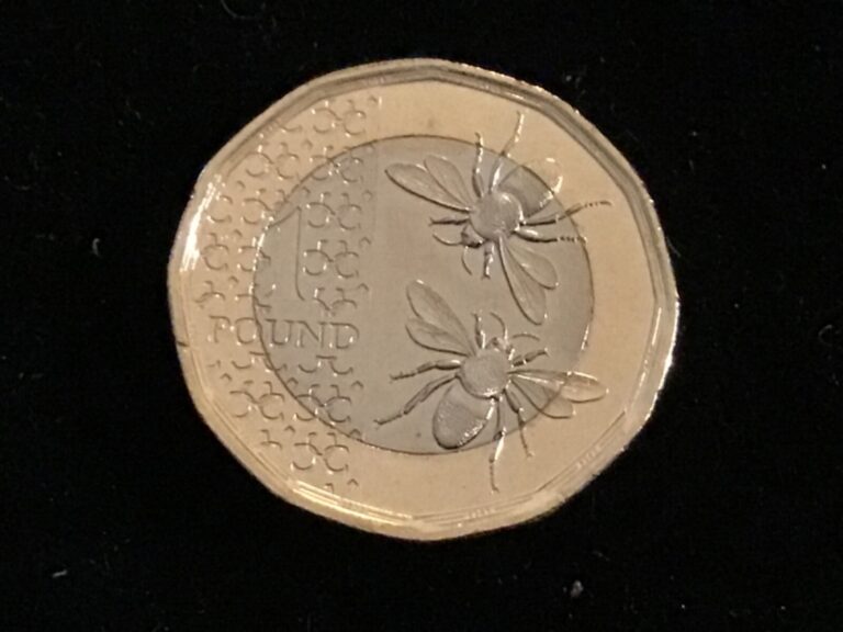 Read more about the article 1st King Charles III 2023 British UK GB 12 Sided BiMetallic £1 Pound Bees Coin