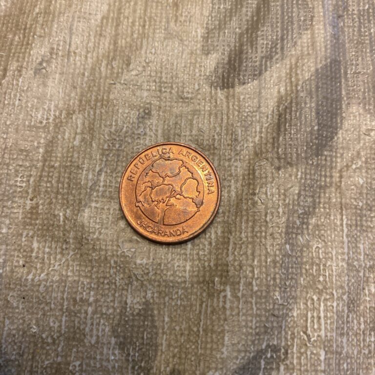 Read more about the article 2020 Un Peso  Argentina Coin