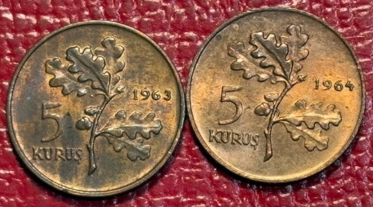 Read more about the article 2-HIGH GRADE  1963 / 1964 TURKEY 5 KURUS  COINS-AGT433