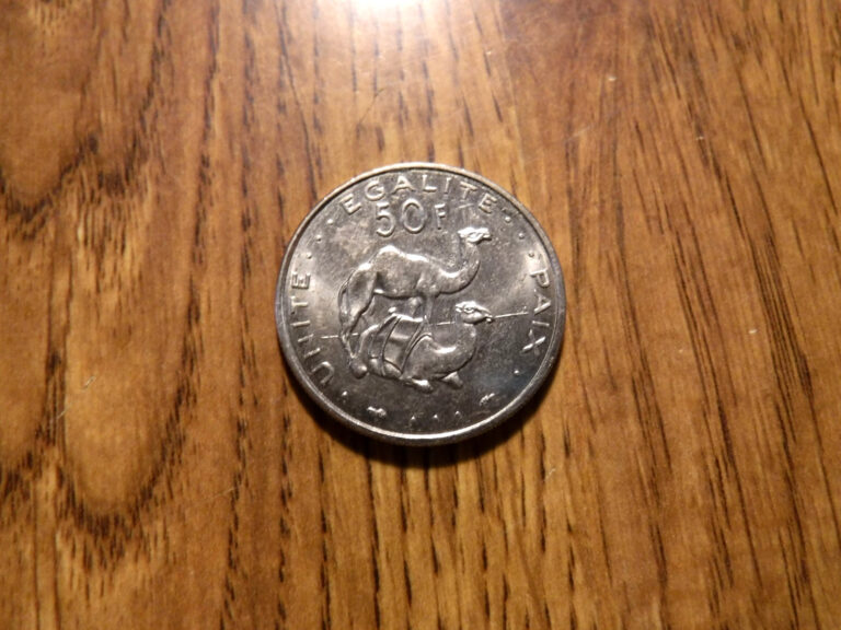 Read more about the article DJIBOUTI 50 FRANCS 1991 COIN (T469)