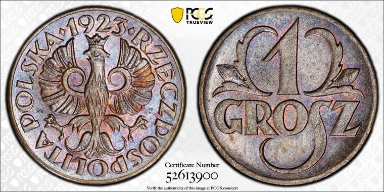 Read more about the article 1923 Poland 1 Grosz PCGS MS64BN Lot#G899 Choice UNC! Beautiful Toning!