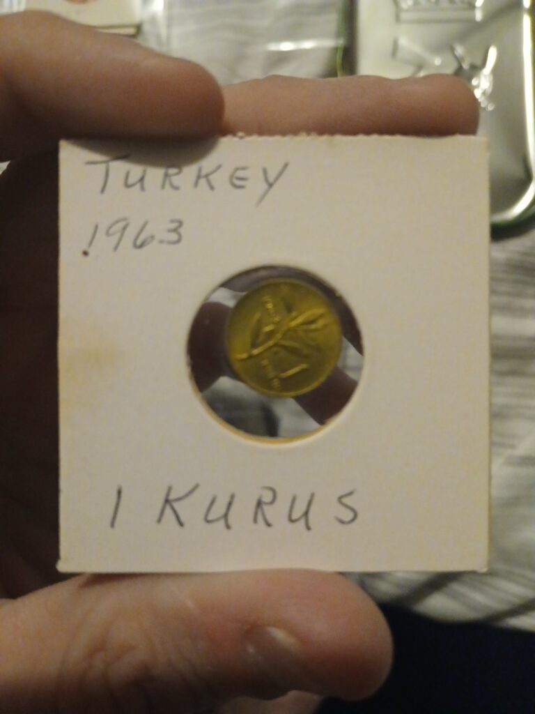Read more about the article 1963 Turkey 1 Kurus – Coin #C-006