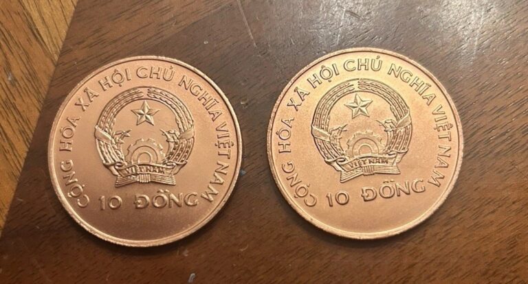 Read more about the article Vietnam 10 dong Safaring Dragon Boat copper coin 1988 lot of (2)