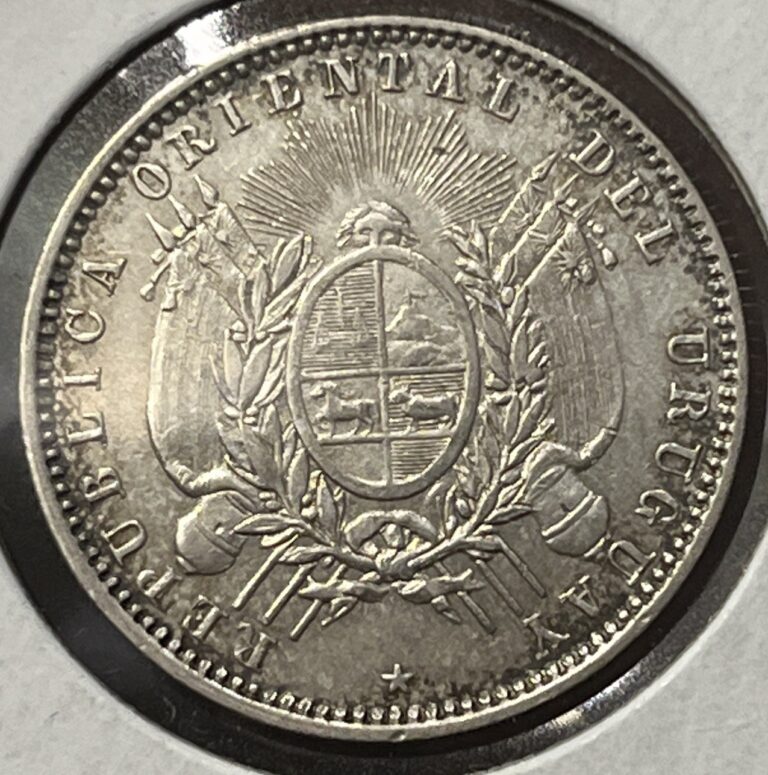 Read more about the article 1893 20 Centesimos Uruguay AU