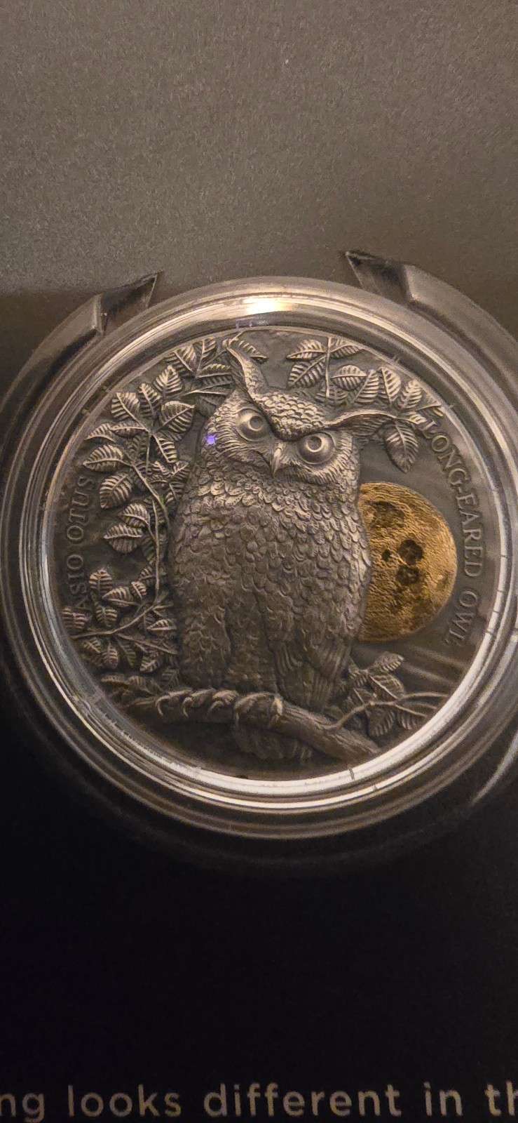 Read more about the article 2021 Ghana Long-Eared Owl Silver Coin Wildlife in the Moonlight 1/2 Troy Oz