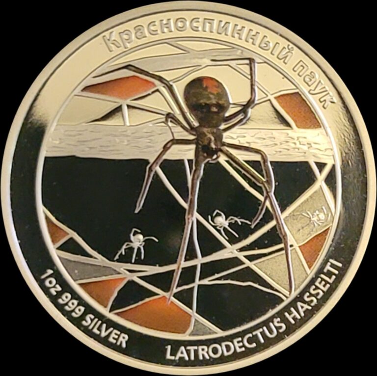 Read more about the article 2011 1oz Black Widow Silver Coin Tuvalu RARE