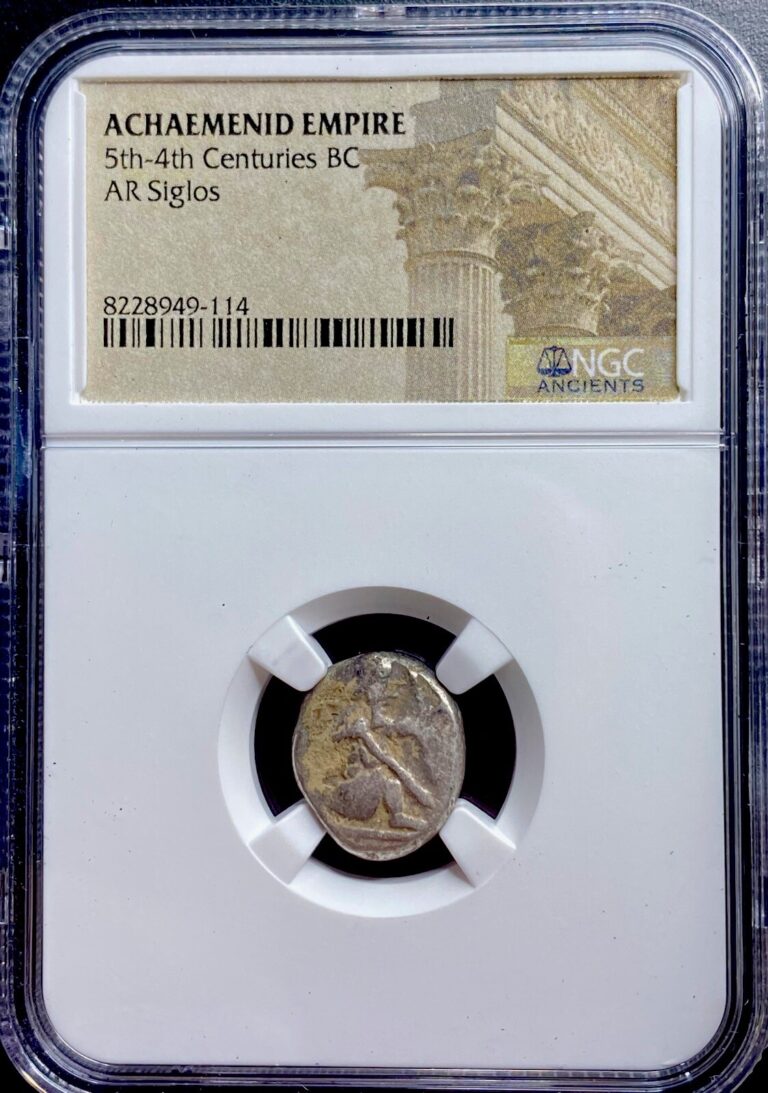 Read more about the article NGC Achaemenid Empire 490-475 BC Coin Reign of Xerxes Darius 5-4th Century BC