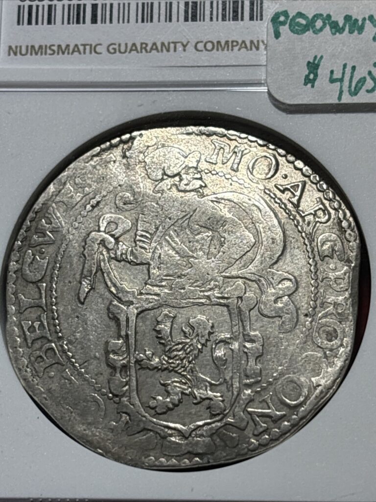 Read more about the article 1641 Netherlands Lion Dollar W.Friesland Dav-4870  Ngc Xf Details Cleaned (?)