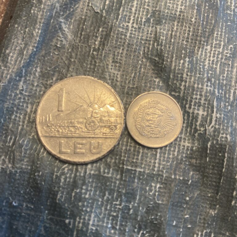 Read more about the article 1963 Romania 1 Leu  1966 5 Bani- 2 Coins