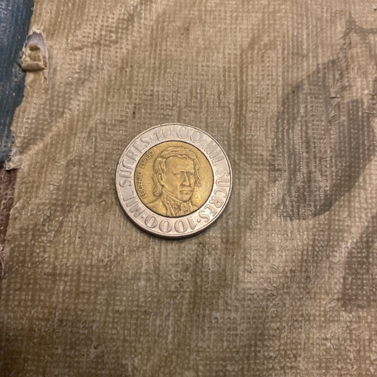 Read more about the article 1996  Ecuador 1000 Mil Sucres- Circulated Condition