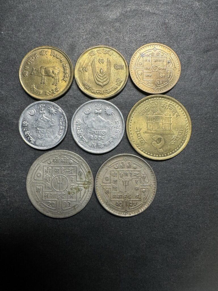 Read more about the article Nepal Coin Collection Lot Of 8 Coins World Foreign Cow Uncommon Rupee Paisa